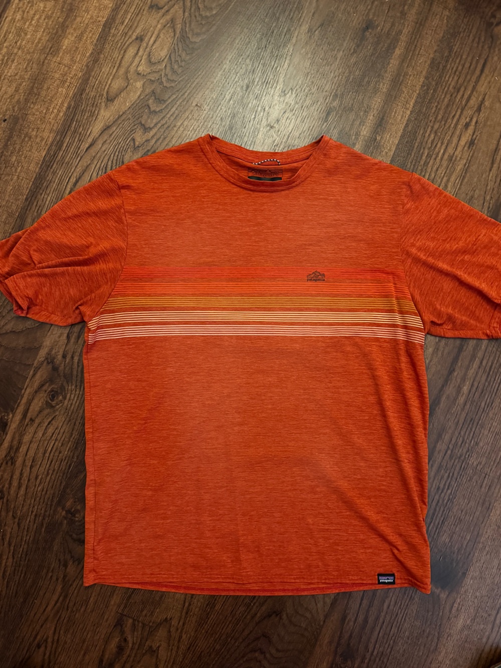 Patagonia Capilene Cool Daily Tee